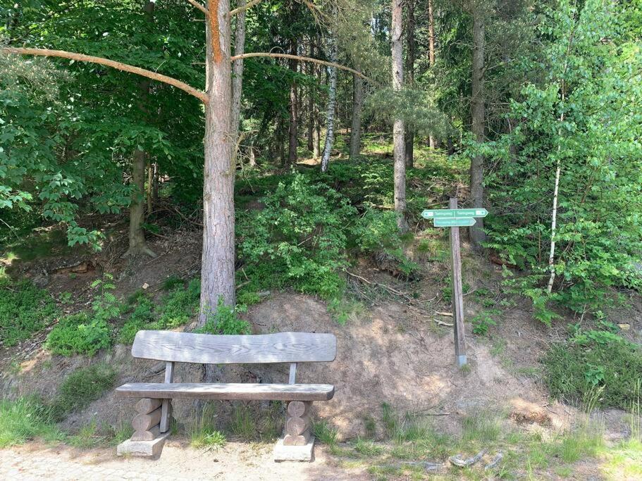 Waldferienhaus Dunja Mit Whirlpool, Sauna U Garten Hain  Exterior foto